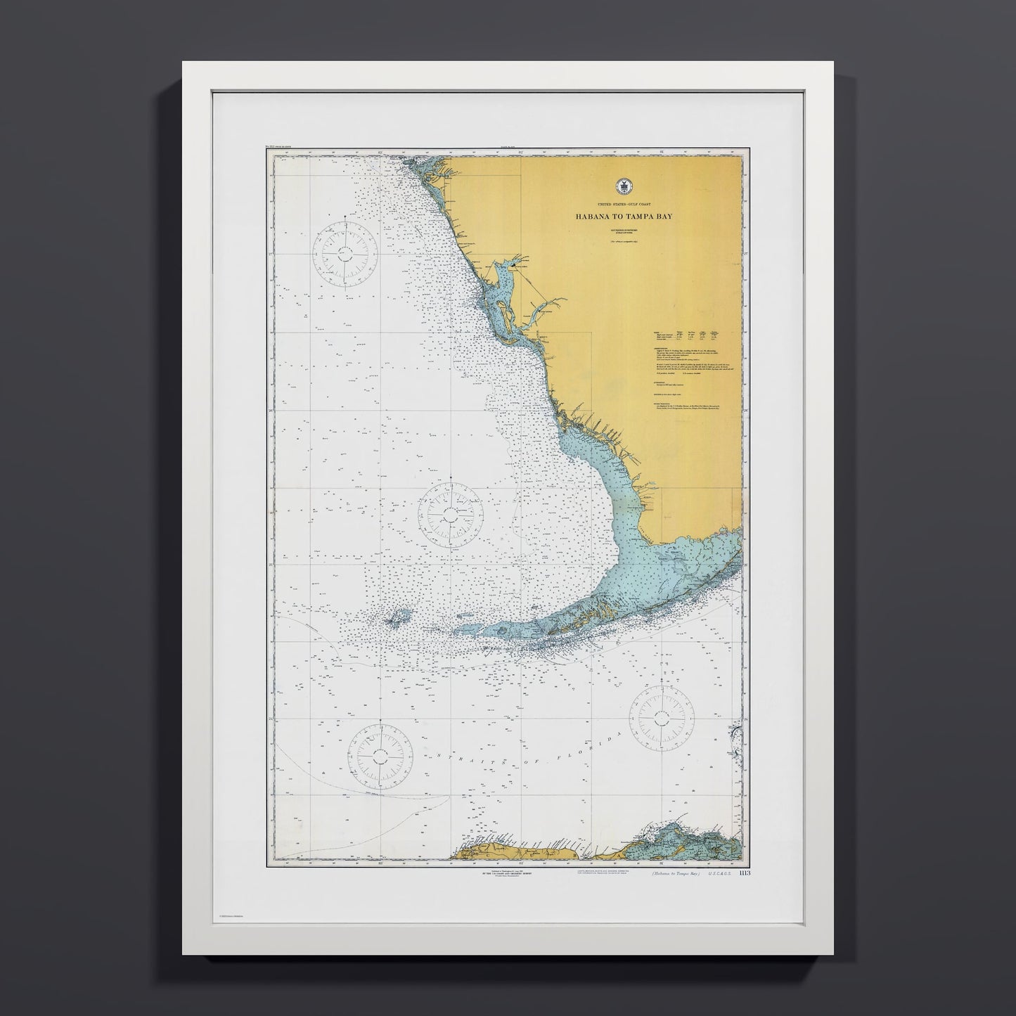 Habana to Tampa Bay 1916 - M (A2 (42 x 59.4 cm)) White Frame