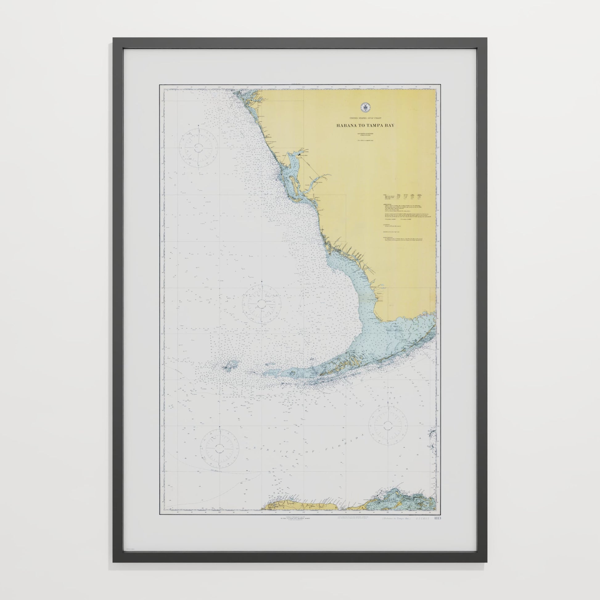 Habana to Tampa Bay 1916 - undefined Print Only