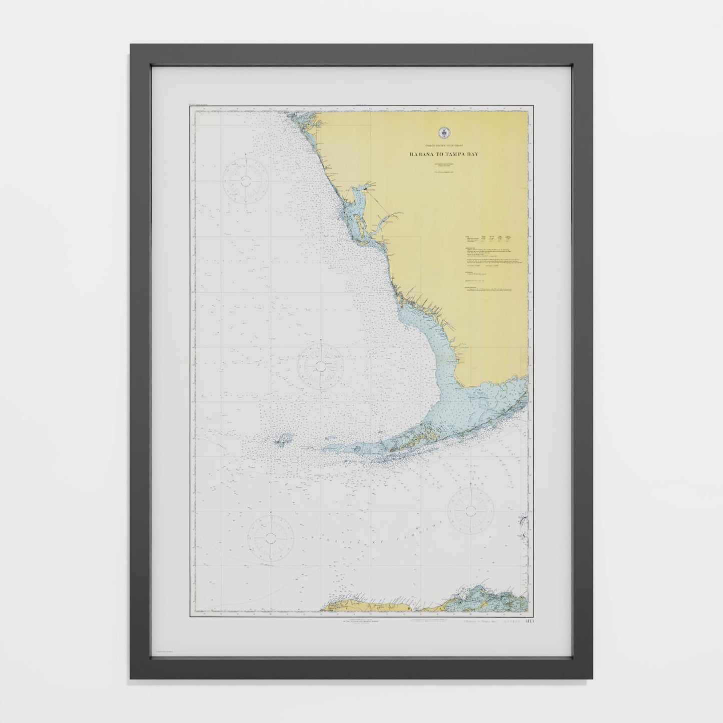 Habana to Tampa Bay 1916 - undefined Print Only