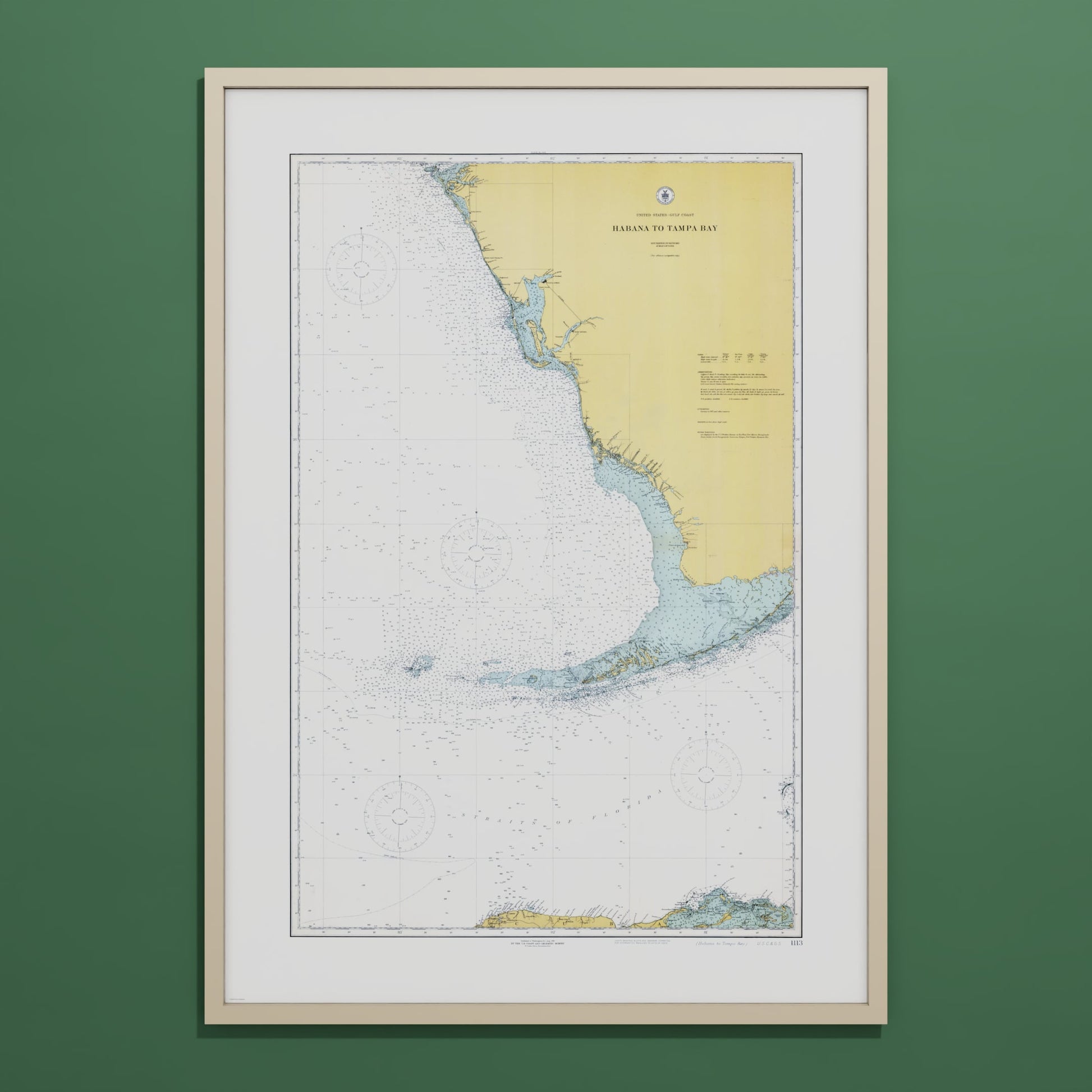 Habana to Tampa Bay 1916 - undefined Print Only