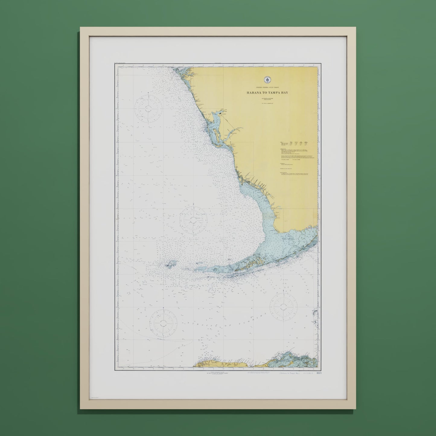 Habana to Tampa Bay 1916 - undefined Print Only