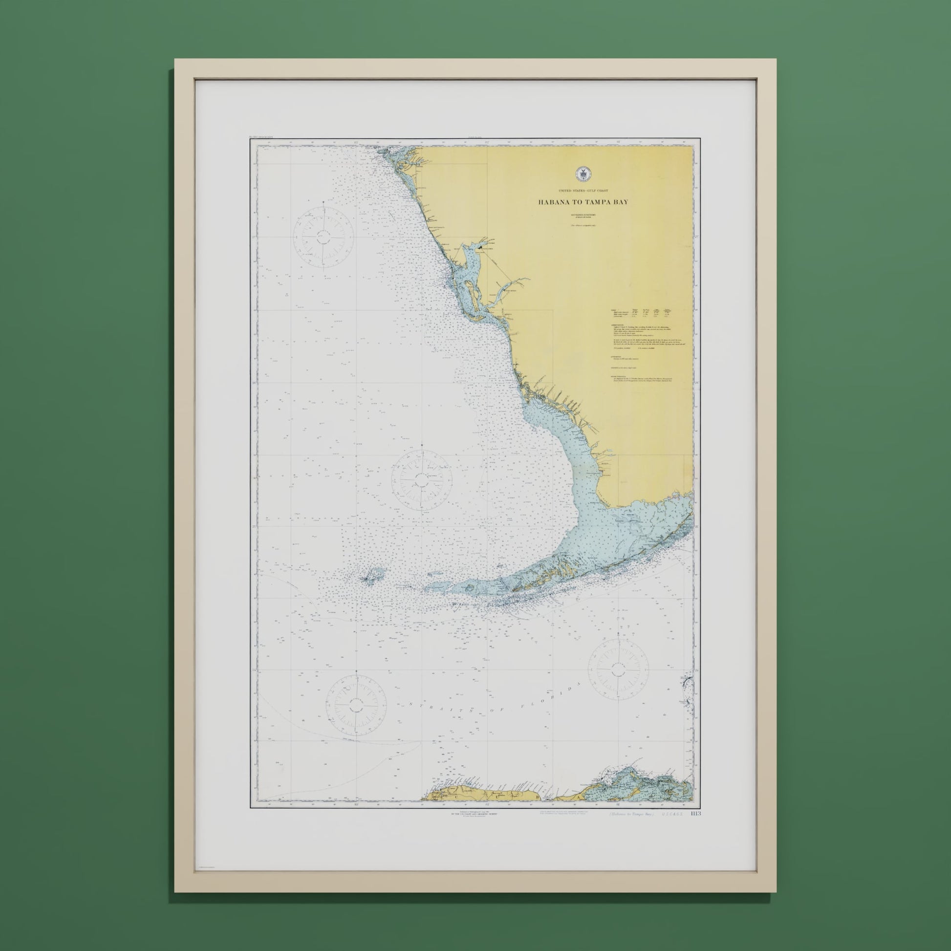 Habana to Tampa Bay 1916 - undefined Print Only