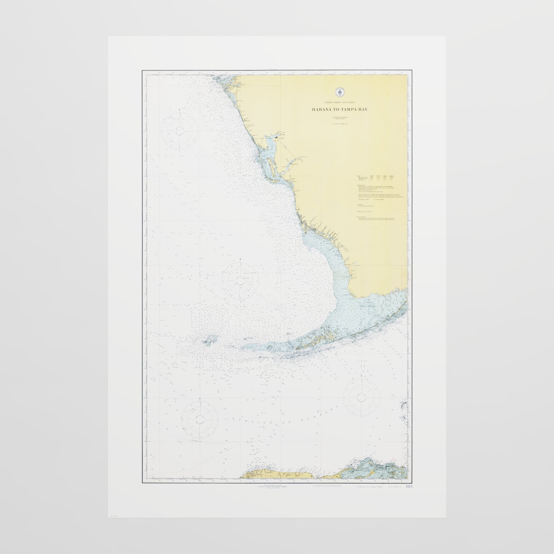 Habana to Tampa Bay 1916 - undefined Print Only