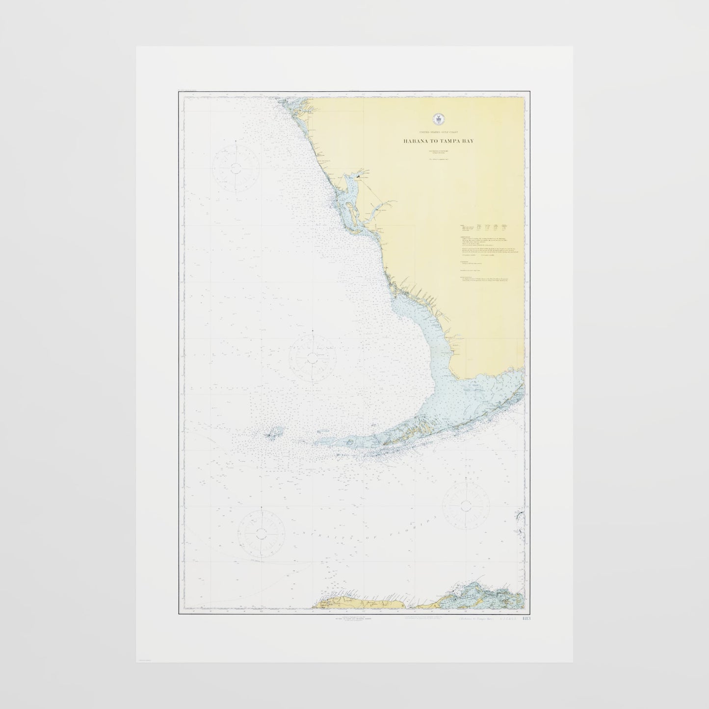 Habana to Tampa Bay 1916 - undefined Print Only