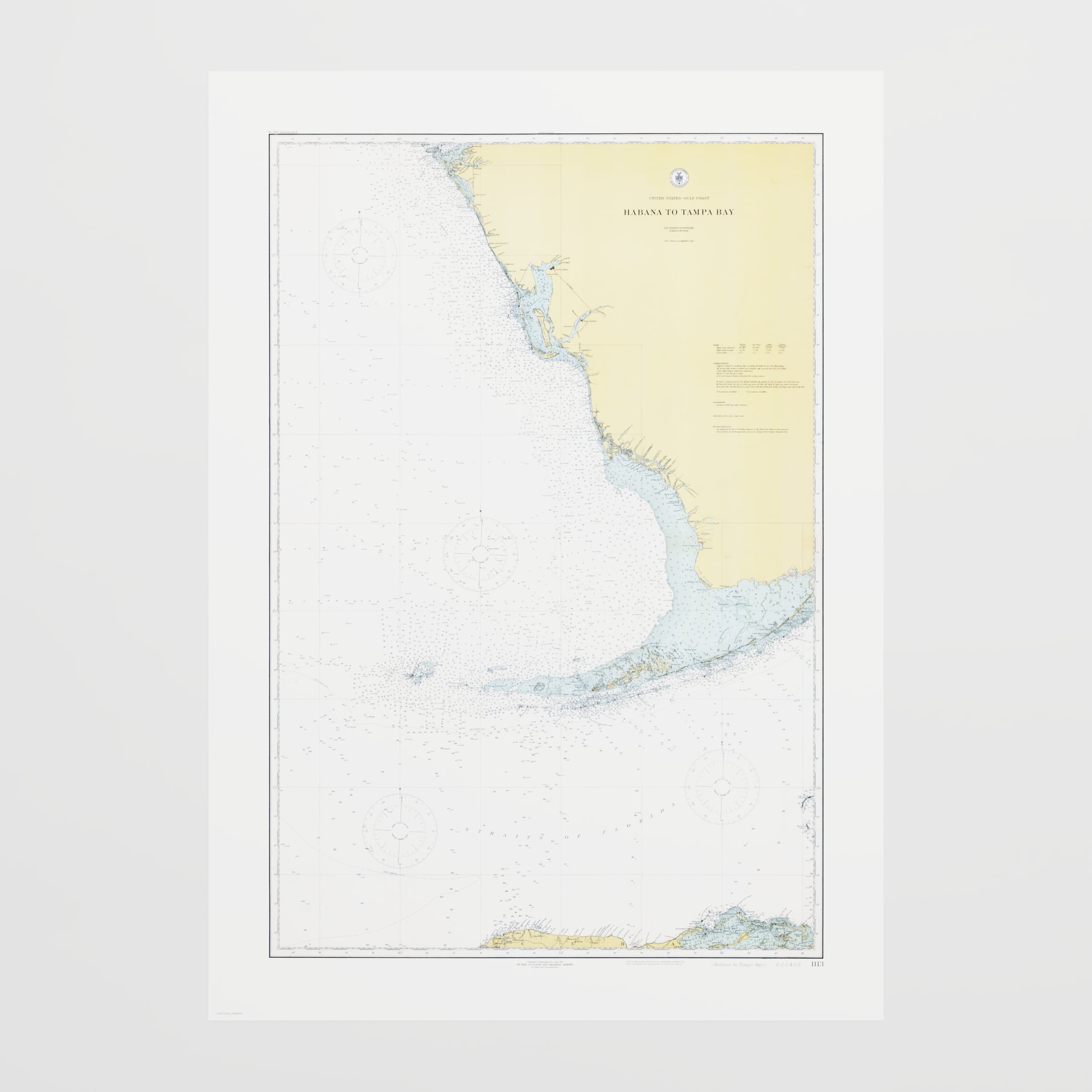 Habana to Tampa Bay 1916 - M (A2 (42 x 59.4 cm)) Print Only