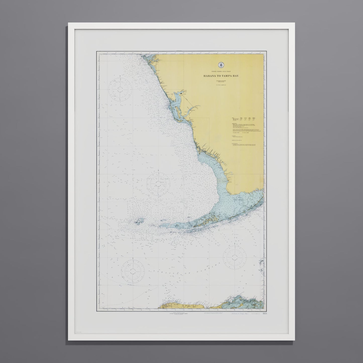 Habana to Tampa Bay 1916 - undefined Print Only