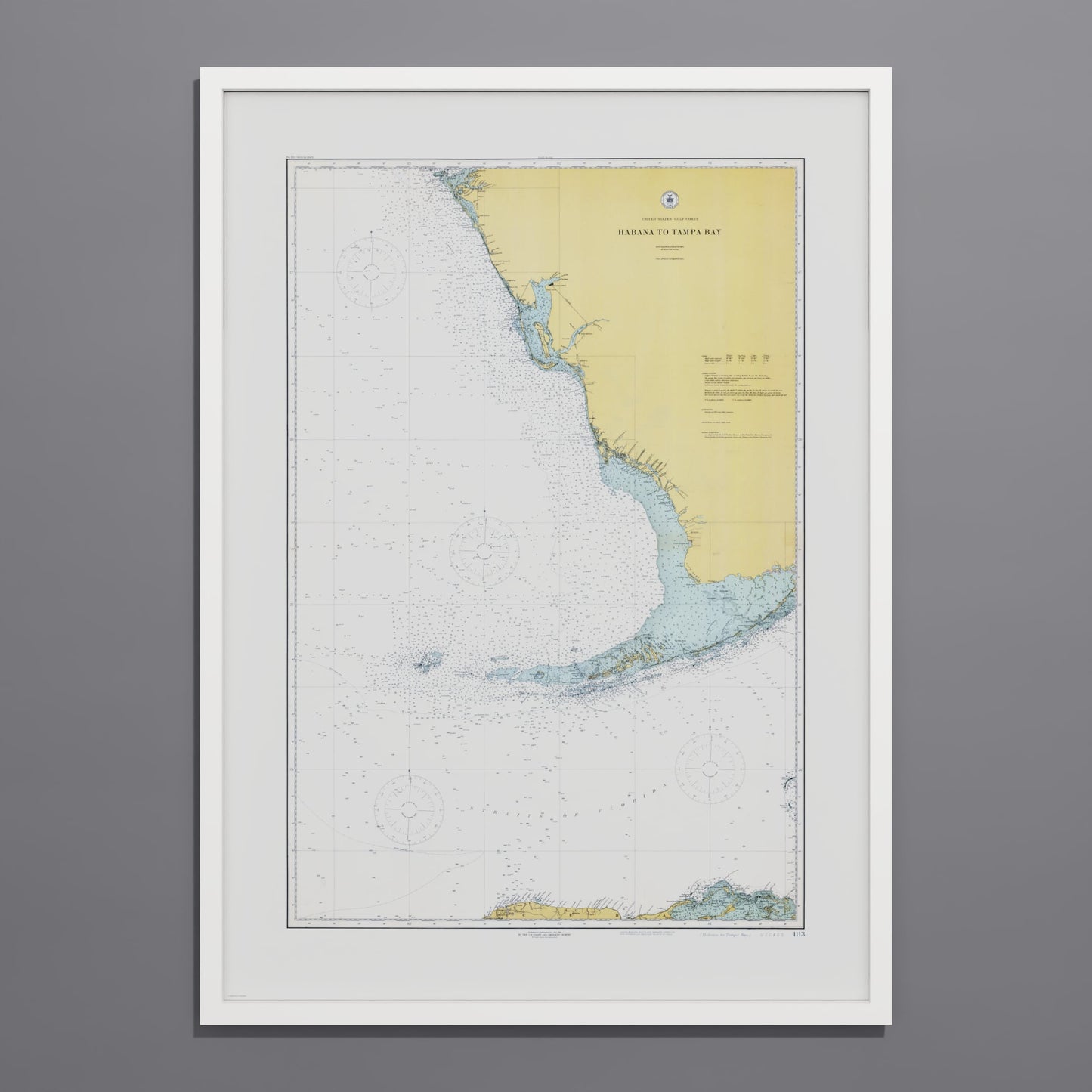Habana to Tampa Bay 1916 - undefined Print Only
