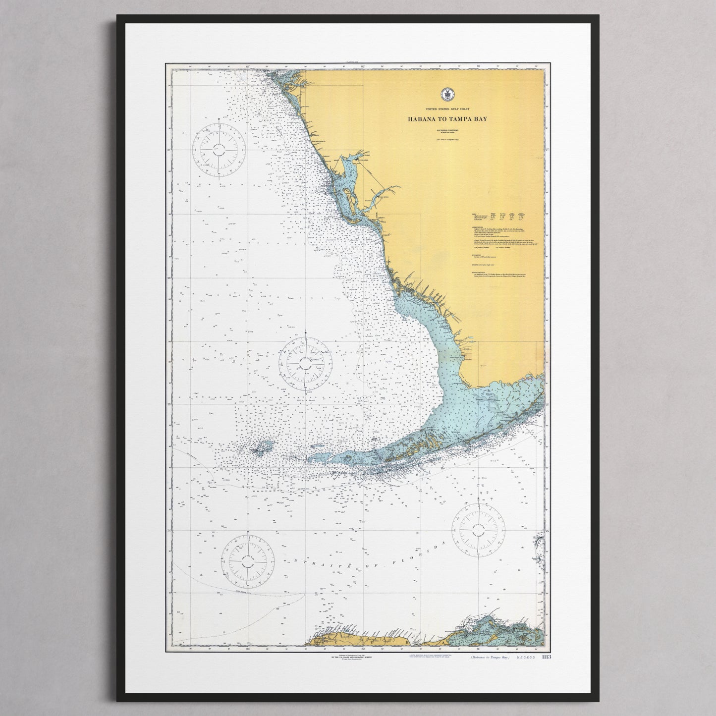 Habana to Tampa Bay 1916 - XL (70x100 cm / 28x40″) Black Frame