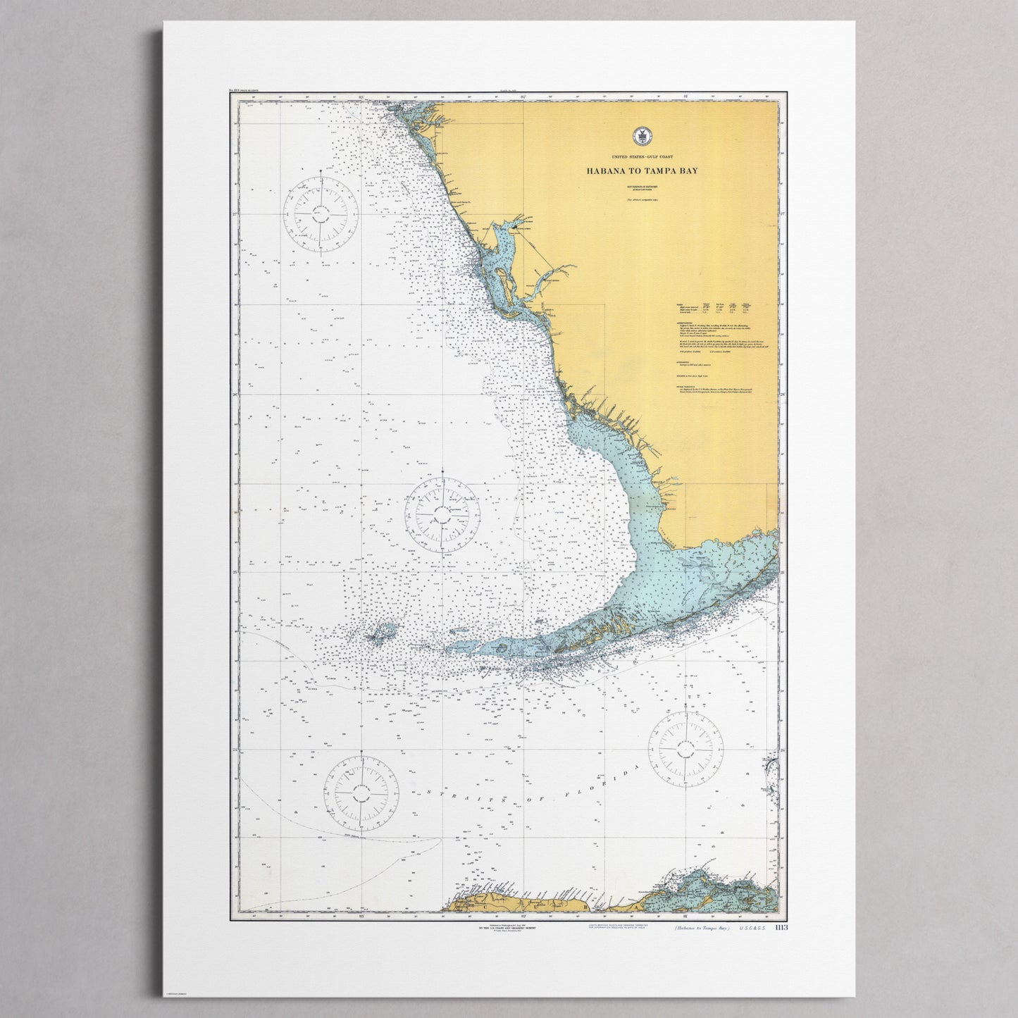 Habana to Tampa Bay 1916 - L (A1 (59.4 x 84.1 cm)) Print Only
