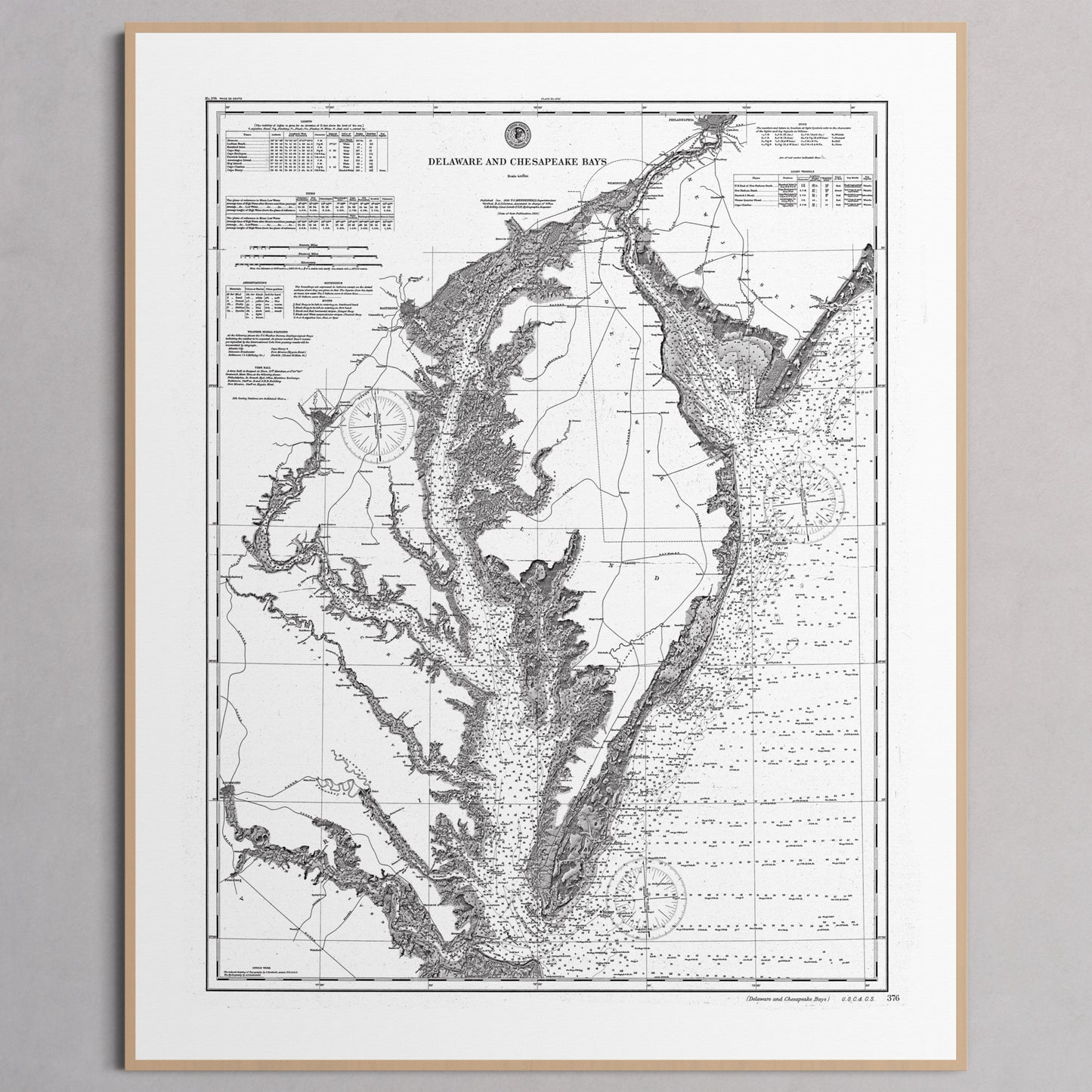 Delaware and Chesapeake Bays 1892 - S (40x50 cm / 16x20″) Natural Frame