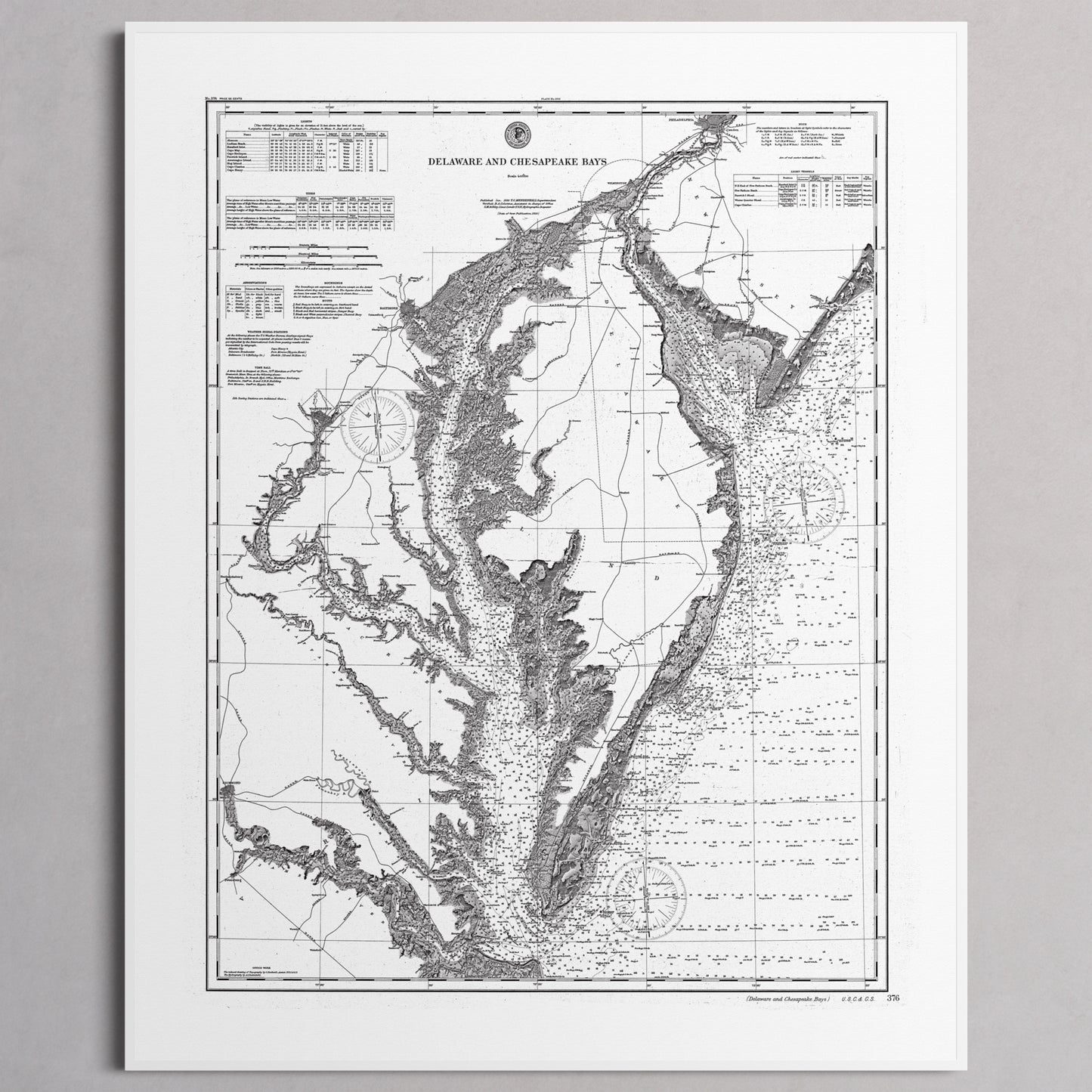 Delaware and Chesapeake Bays 1892 - S (40x50 cm / 16x20″) White Frame